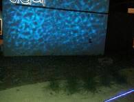 Dine al fresco with Fido at Tidal restaurant.